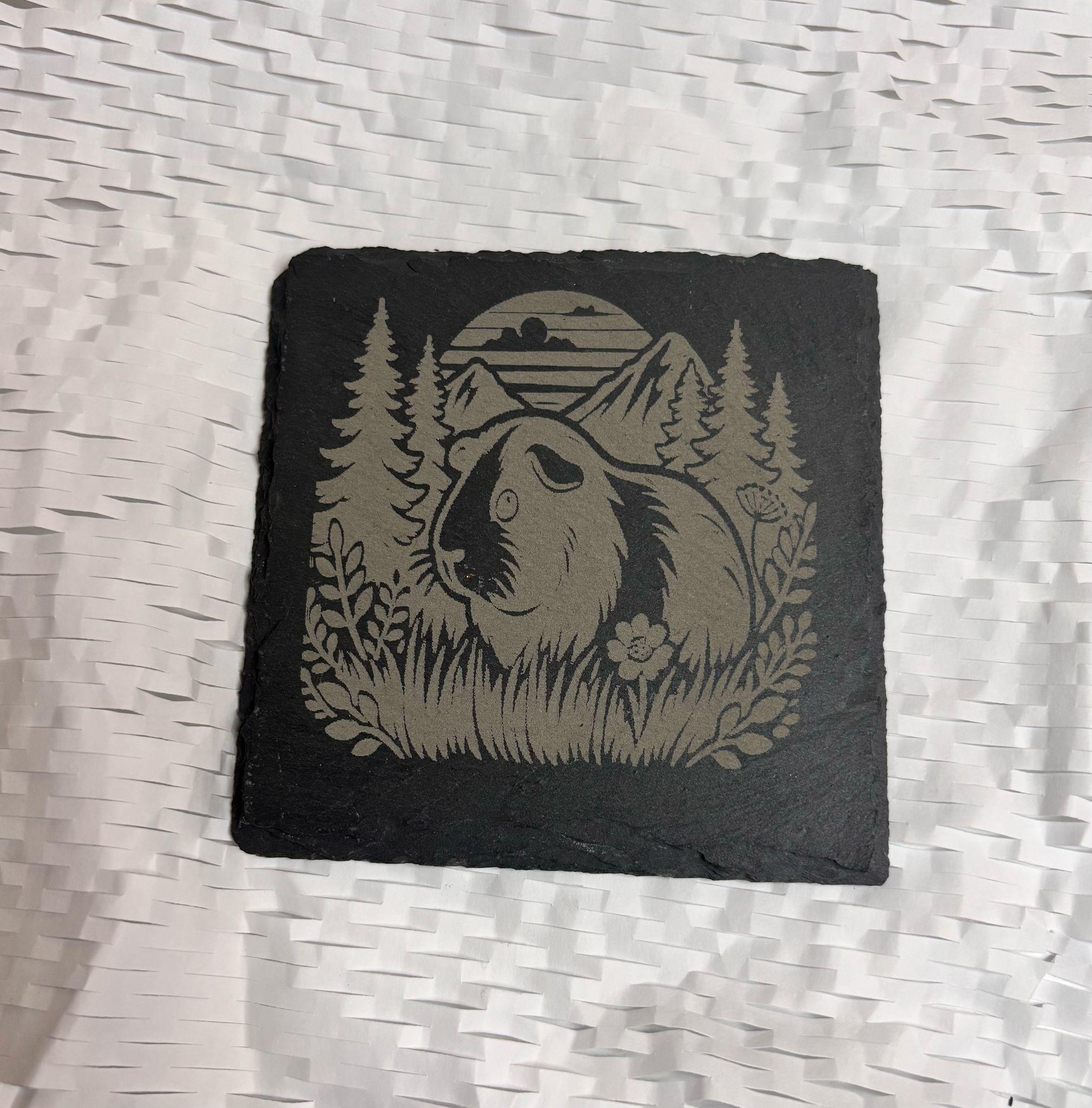 Guinea Pig Slate Drinking coasters, unique gift