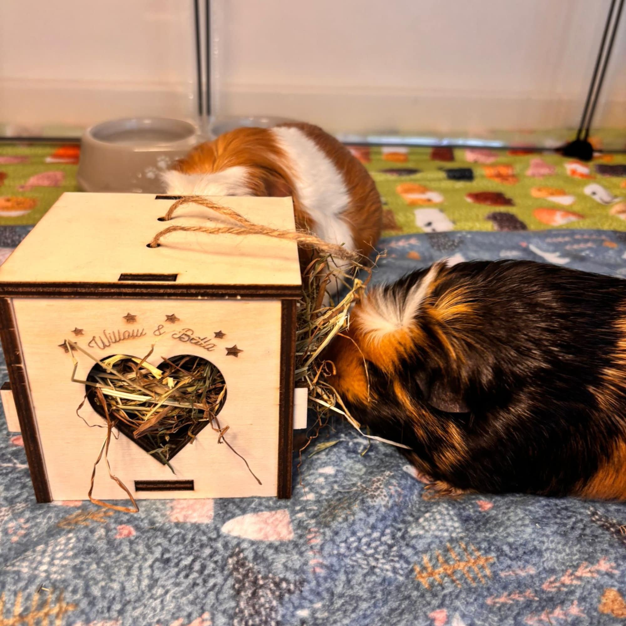 Cozy Hay Cube for Small Pets: Keep Your Guinea Pig or Hamster Happy and Healthy (READ dimensions in description before purchase)