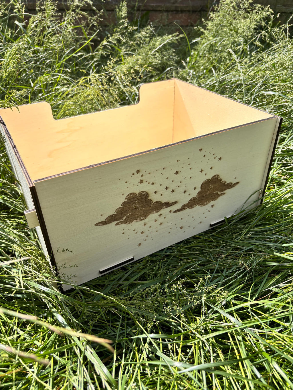 Animal Digbox suitable for Rabbits,  This Digbox is personalised with your rabbit's name on the front.
