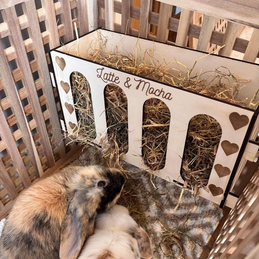 Rabbit and Guinea Pig Hay Feeder with Pets Names- Slot Together, Pet Safe Plywood