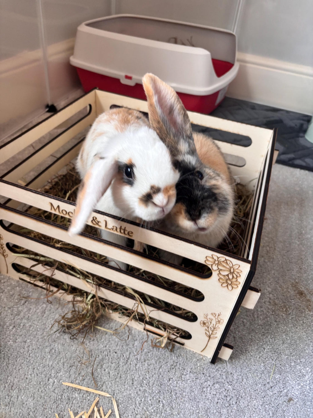Personalised Rabbit and Guinea Pig Hay Feeder box with Pets' Names- Slot Together, Pet Safe Plywood