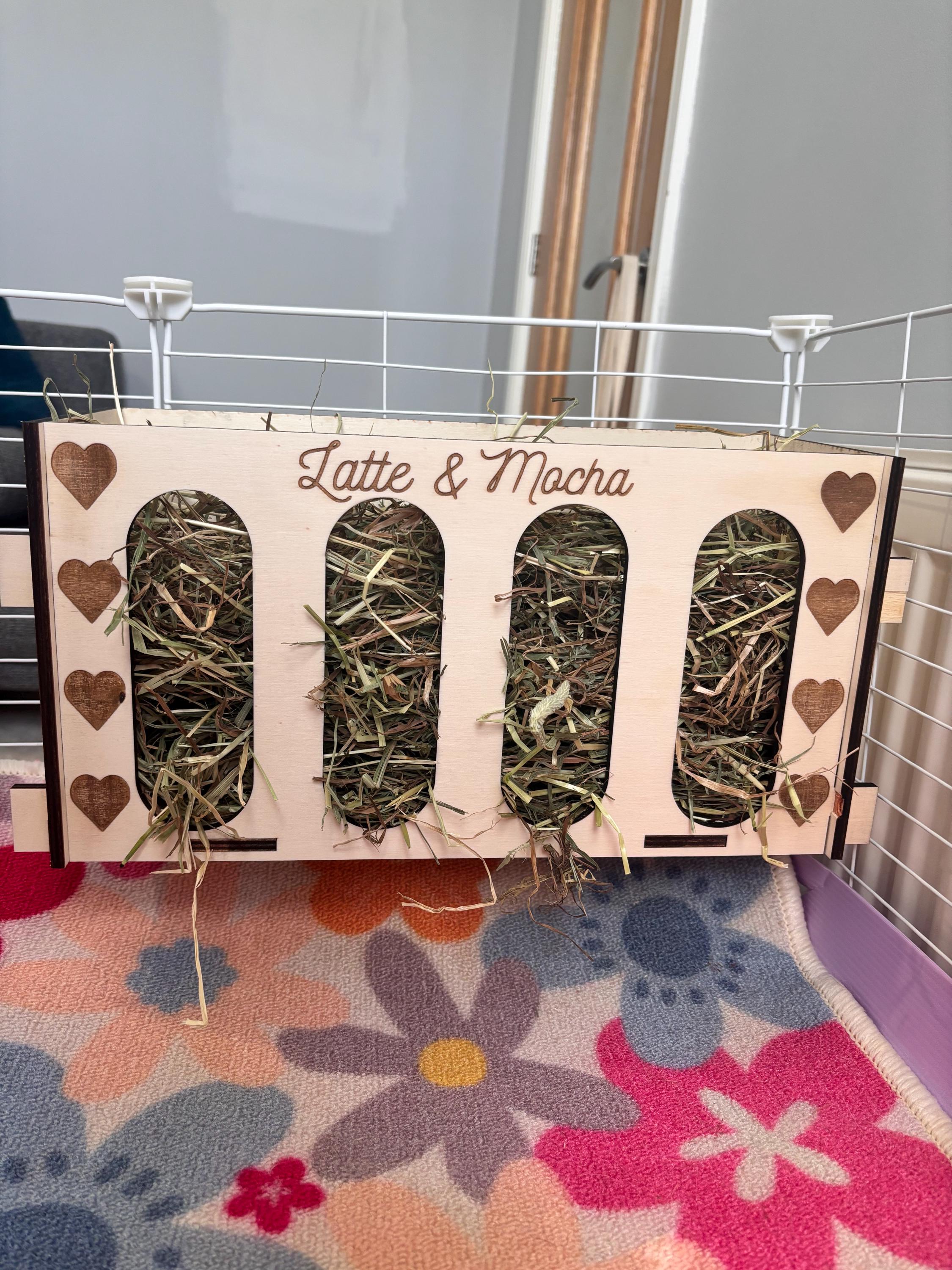 Rabbit and Guinea Pig Hay Feeder with Pets Names- Slot Together, Pet Safe Plywood