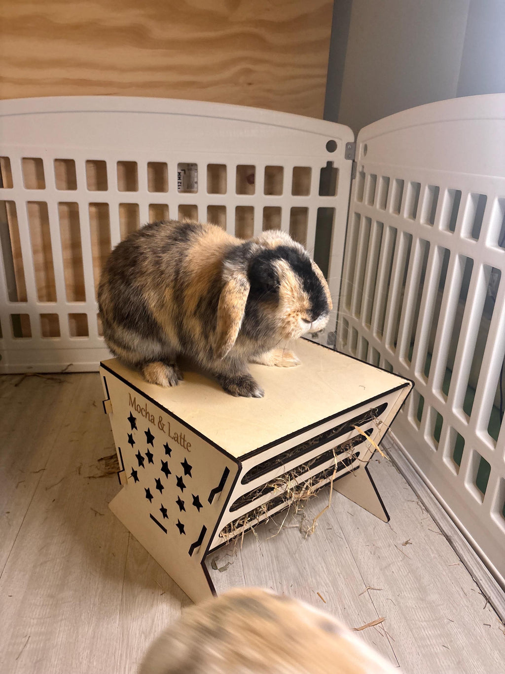 Rabbit Platform Hayfeeder Personalised with your rabbit's name