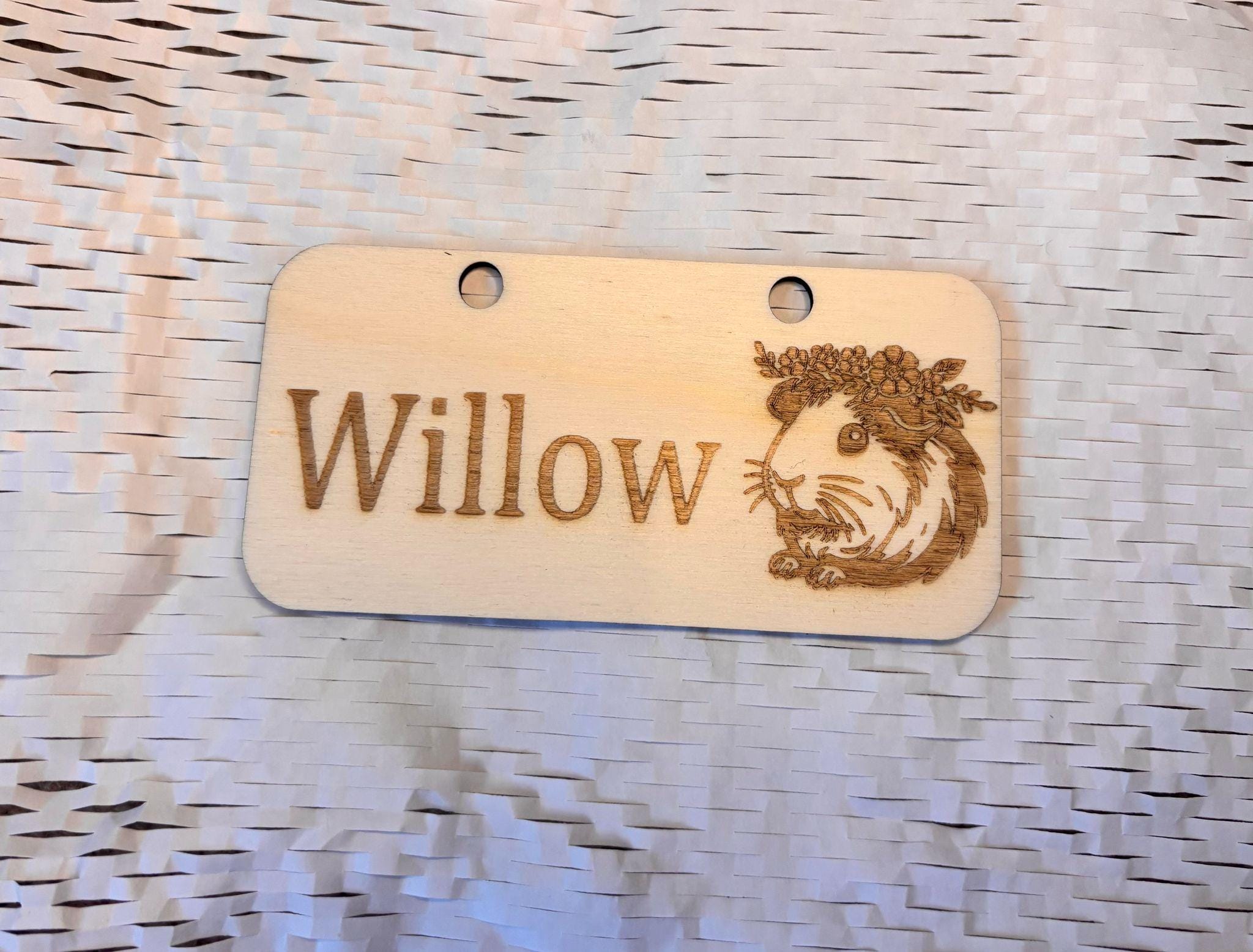 Personalised Guinea Pig Name Sign - Standard or Formaldehyde Free Plywood|Custom Using water-based paint and animal-friendly