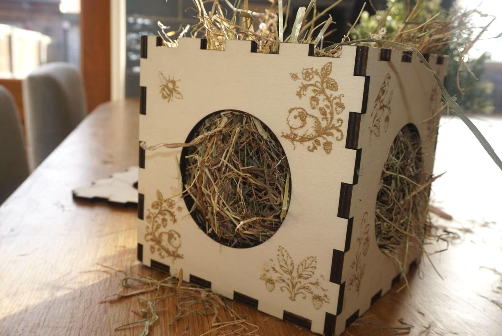 Personalized Hay Cube: Guinea Pig