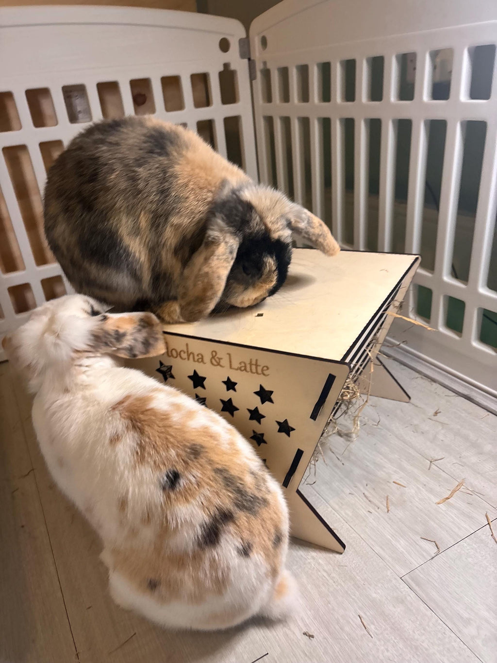 Rabbit Platform Hayfeeder Personalised with your rabbit's name