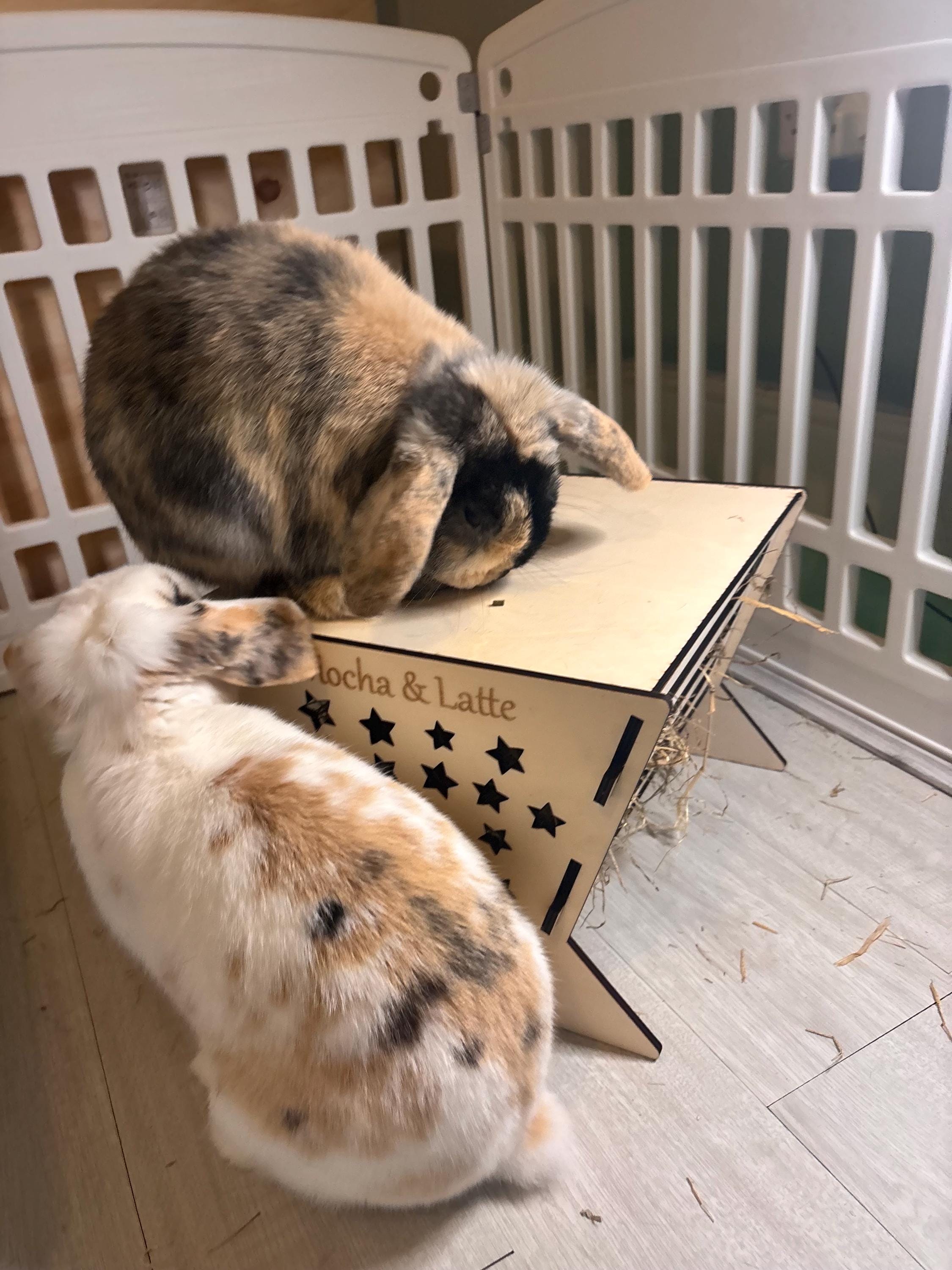 Rabbit Platform Hayfeeder Personalised with your rabbit's name