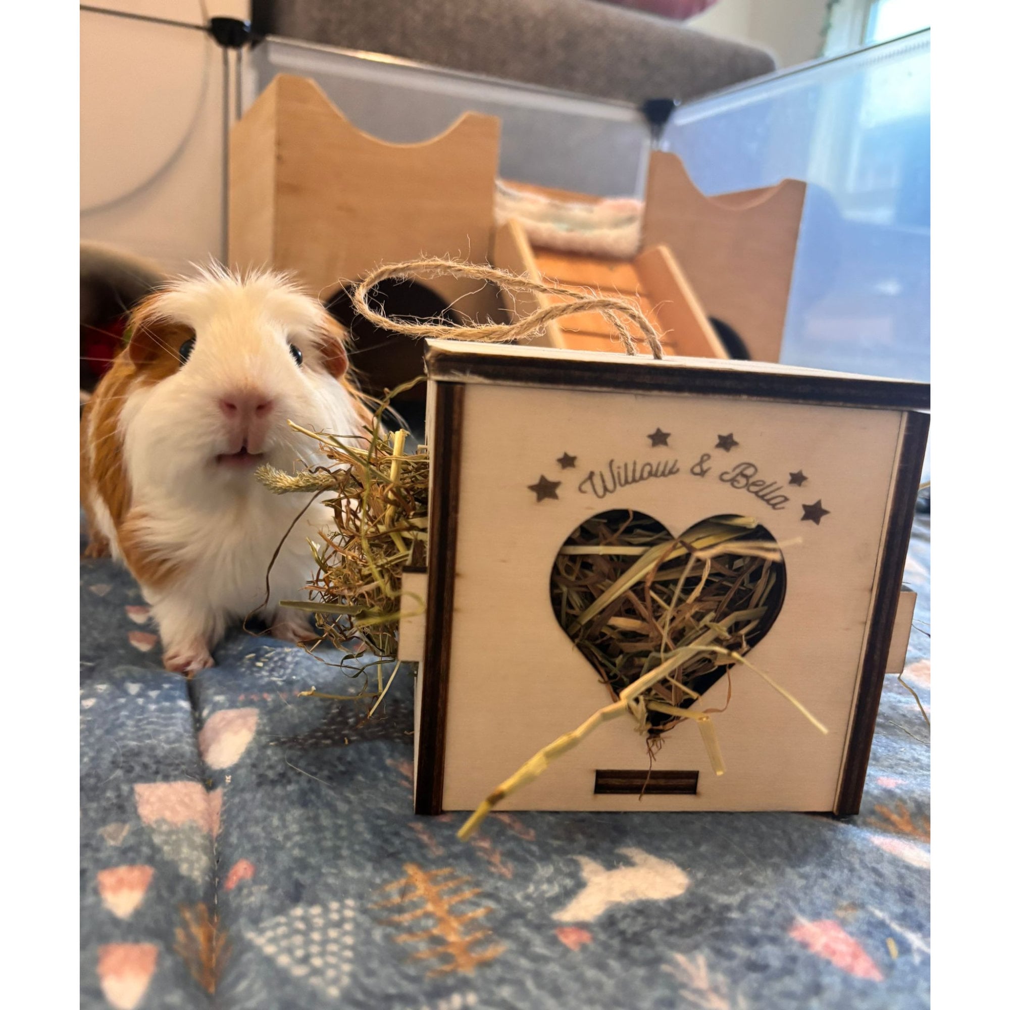 Cozy Hay Cube for Small Pets: Keep Your Guinea Pig or Hamster Happy and Healthy (READ dimensions in description before purchase)