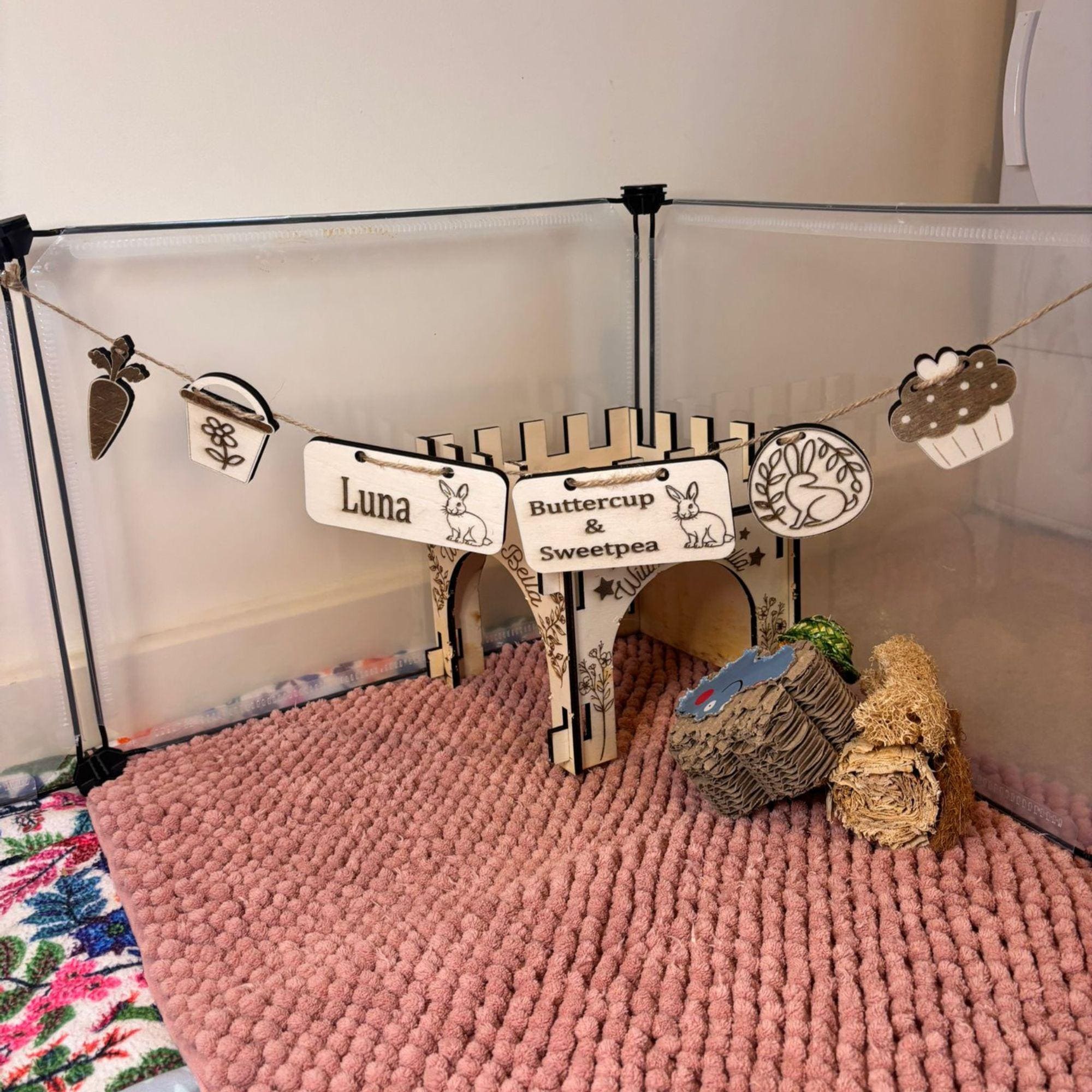 Personalized Rabbit sign & Cage Decoration - Formaldehyde Free Plywood | Custom