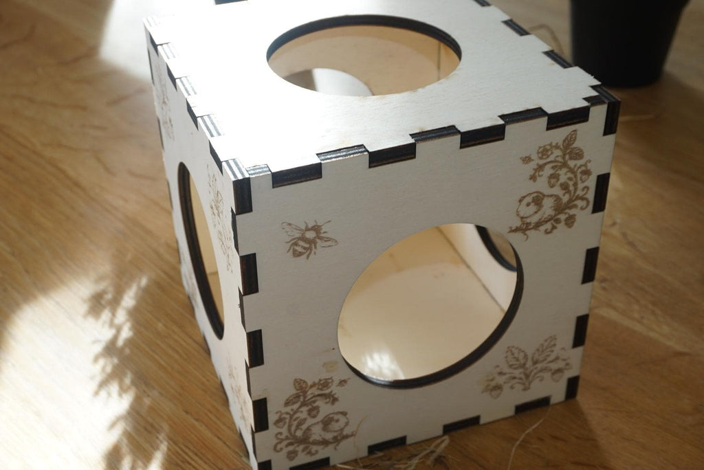 Personalized Hay Cube: Guinea Pig