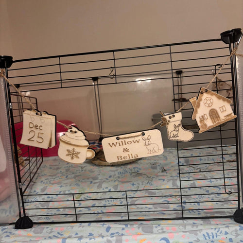 Christmas Personalized Rabbit sign & Cage Decoration - Formaldehyde Free Plywood | Custom