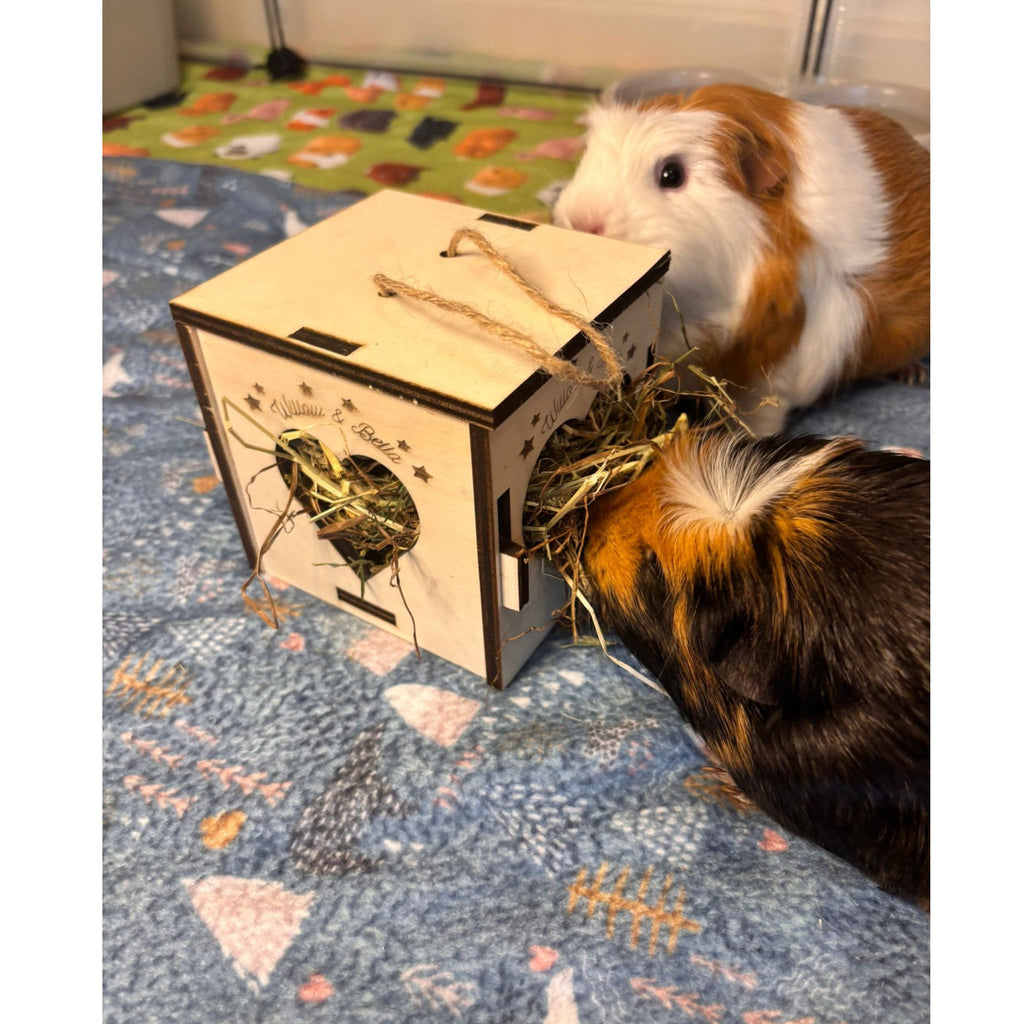 Cozy Hay Cube for Small Pets: Keep Your Guinea Pig or Hamster Happy and Healthy (READ dimensions in description before purchase)