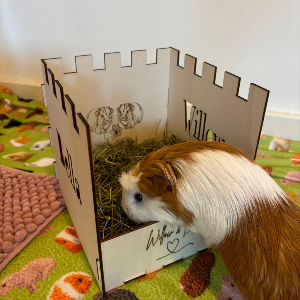 Small Animal Hay Feeder suitable for Guinea Pigs,  This hay feeder is personalised with your guinea pig's name on the side and front.