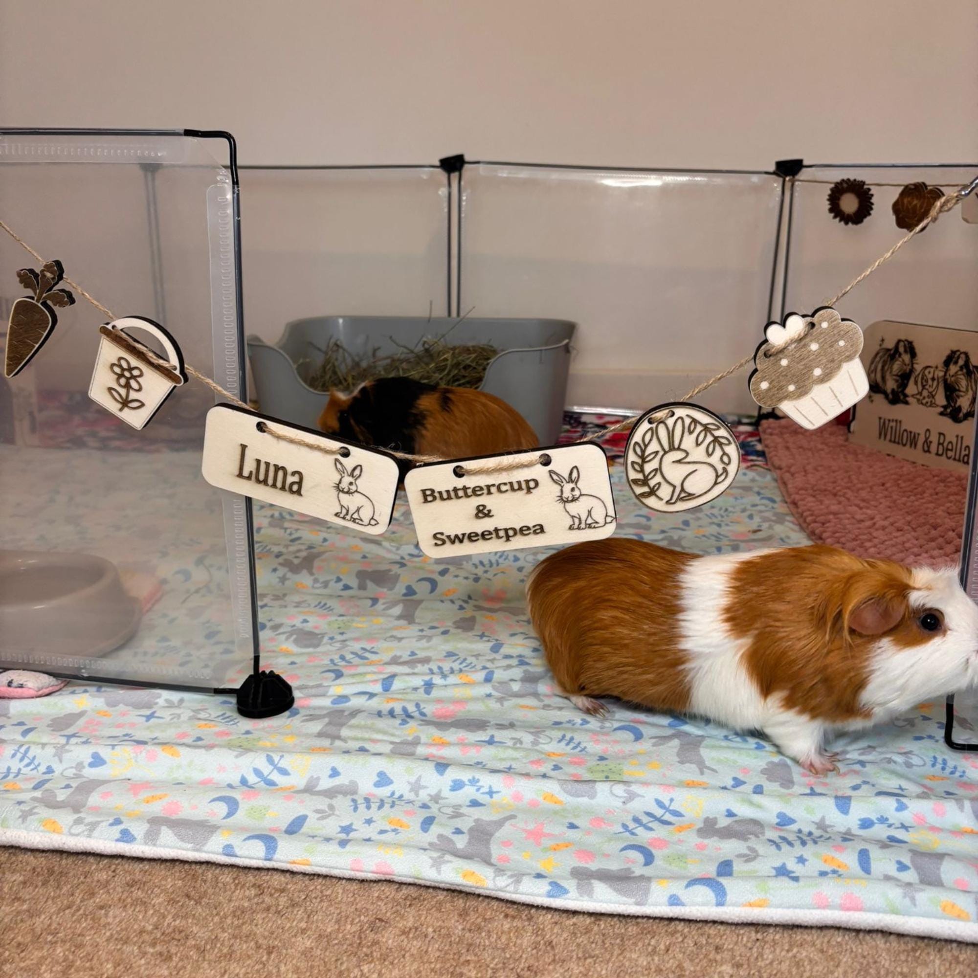 Personalized Rabbit sign & Cage Decoration - Formaldehyde Free Plywood | Custom