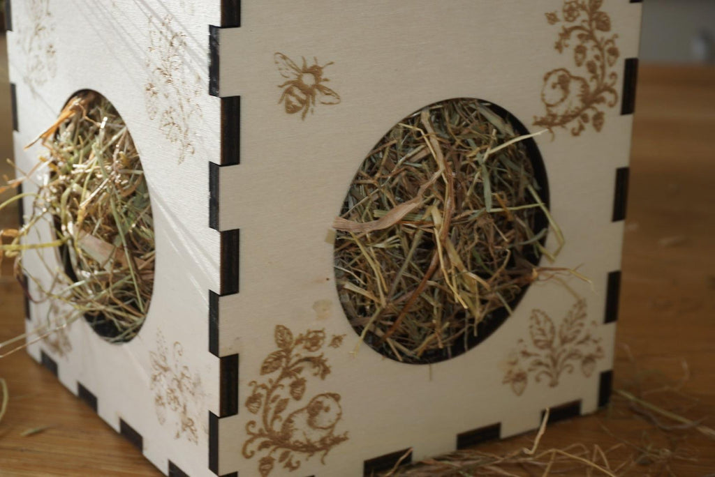 Personalized Hay Cube: Guinea Pig