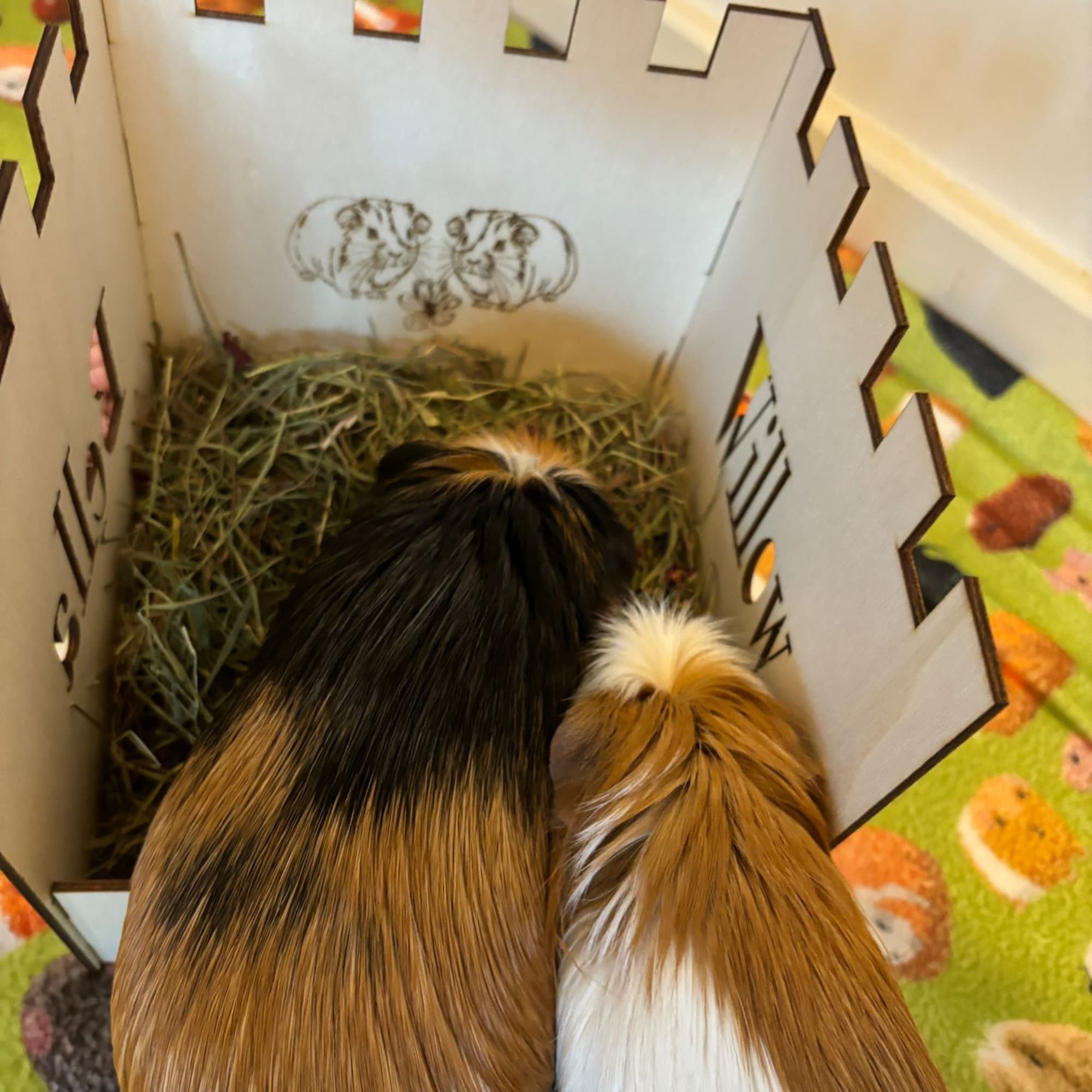 Small Animal Hay Feeder suitable for Guinea Pigs,  This hay feeder is personalised with your guinea pig's name on the side and front.