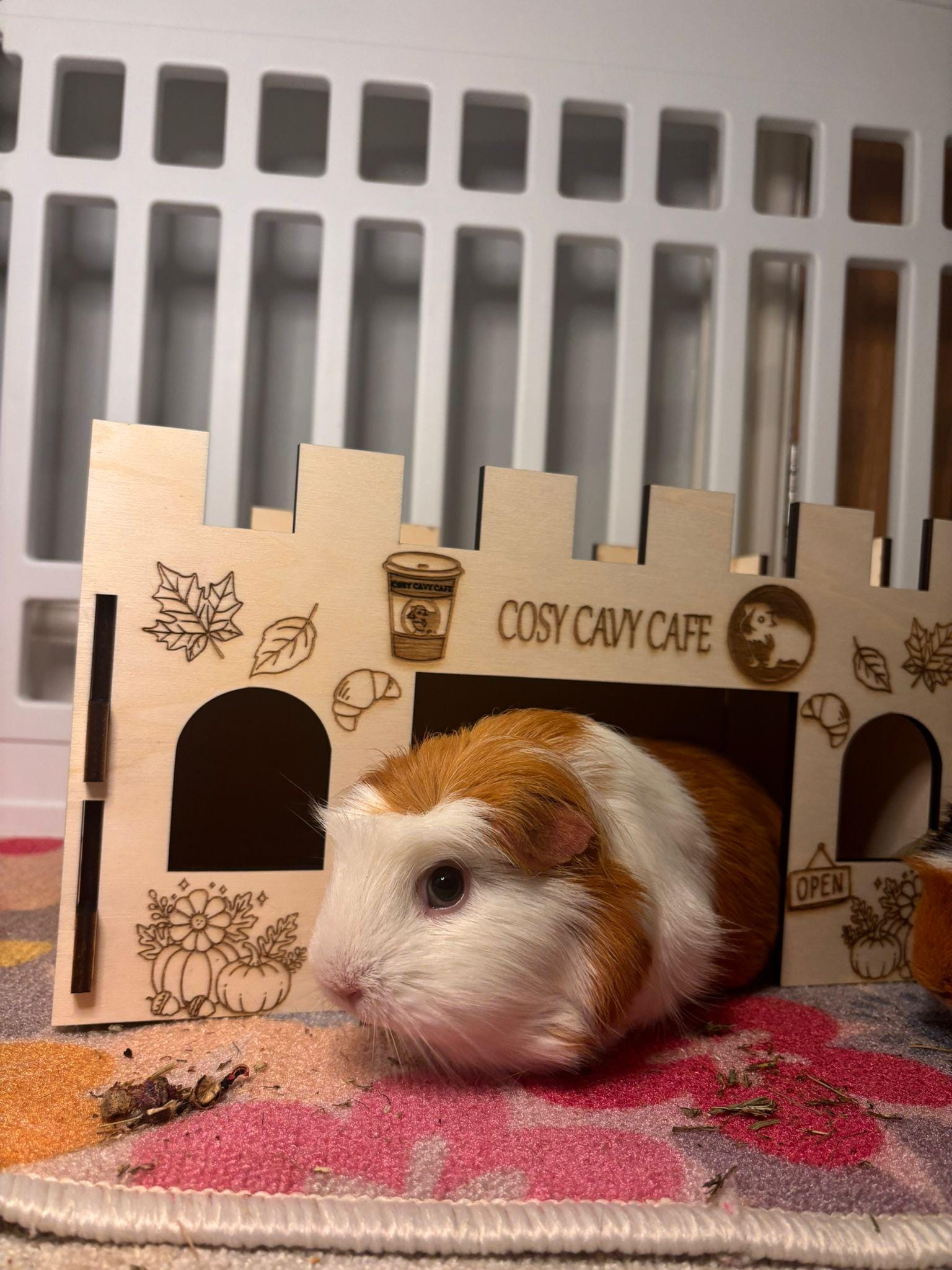 Guinea Pig Coffee Shop Hidey House - Formaldehyde Free, Non Toxic, Wooden, Slot Together & Modular