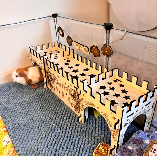 Guinea Pig Castle - Formaldehyde Free, This Castle is personalised with your Animal name on the Front and side.