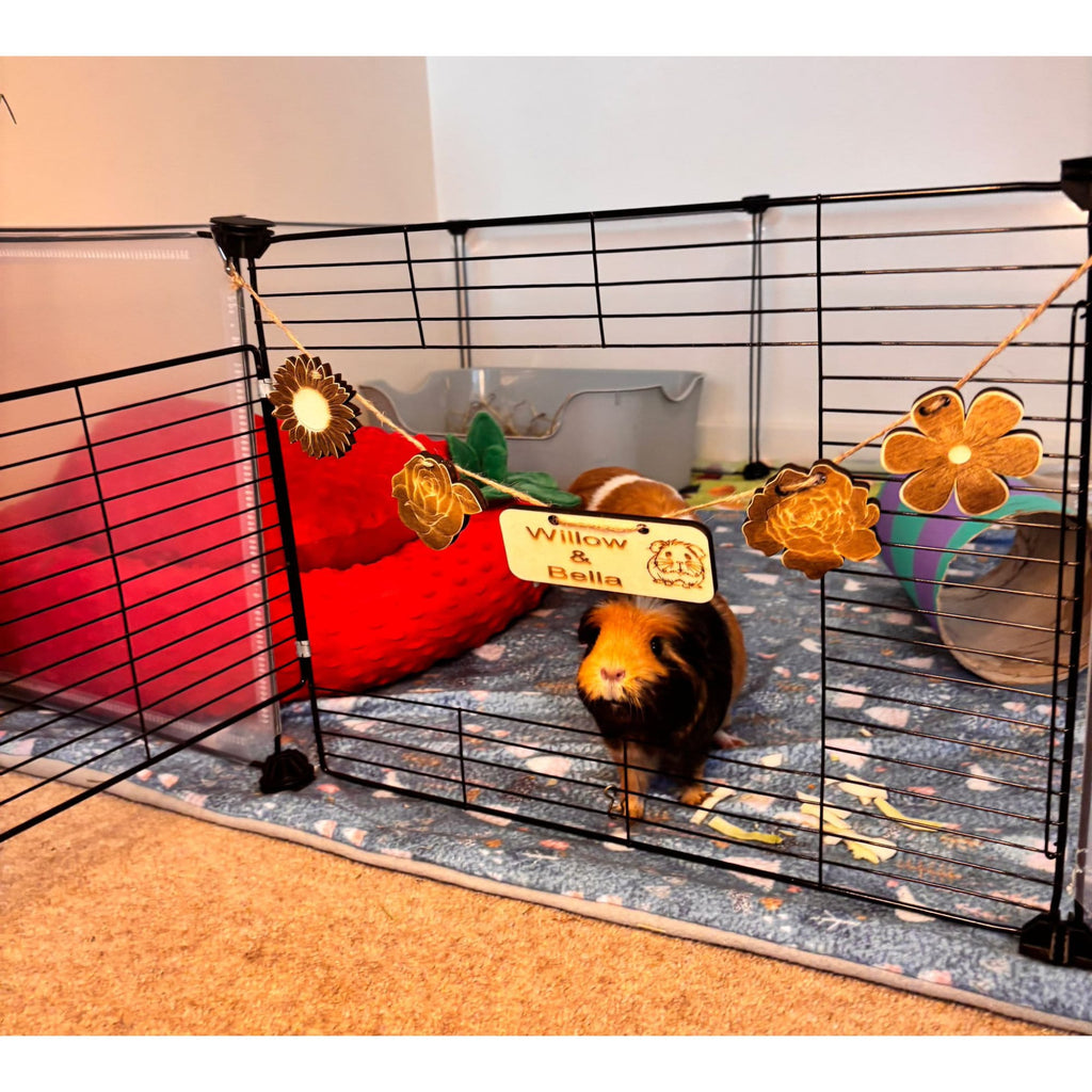 Personalized Guinea Pig and Rabbit Name sign & Cage Decoration - Formaldehyde Free Plywood | Custom