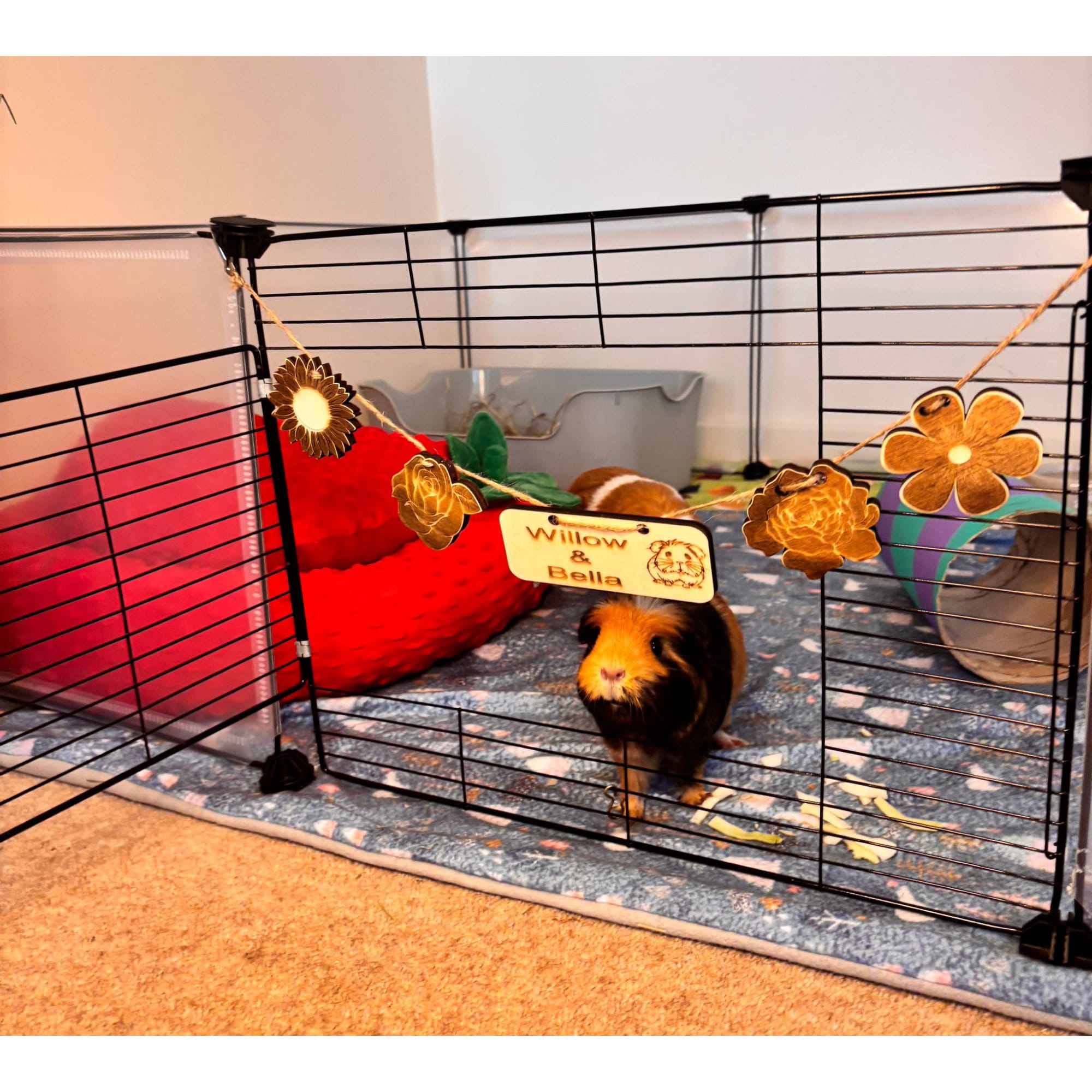 Personalized Guinea Pig and Rabbit Name sign & Cage Decoration - Formaldehyde Free Plywood | Custom