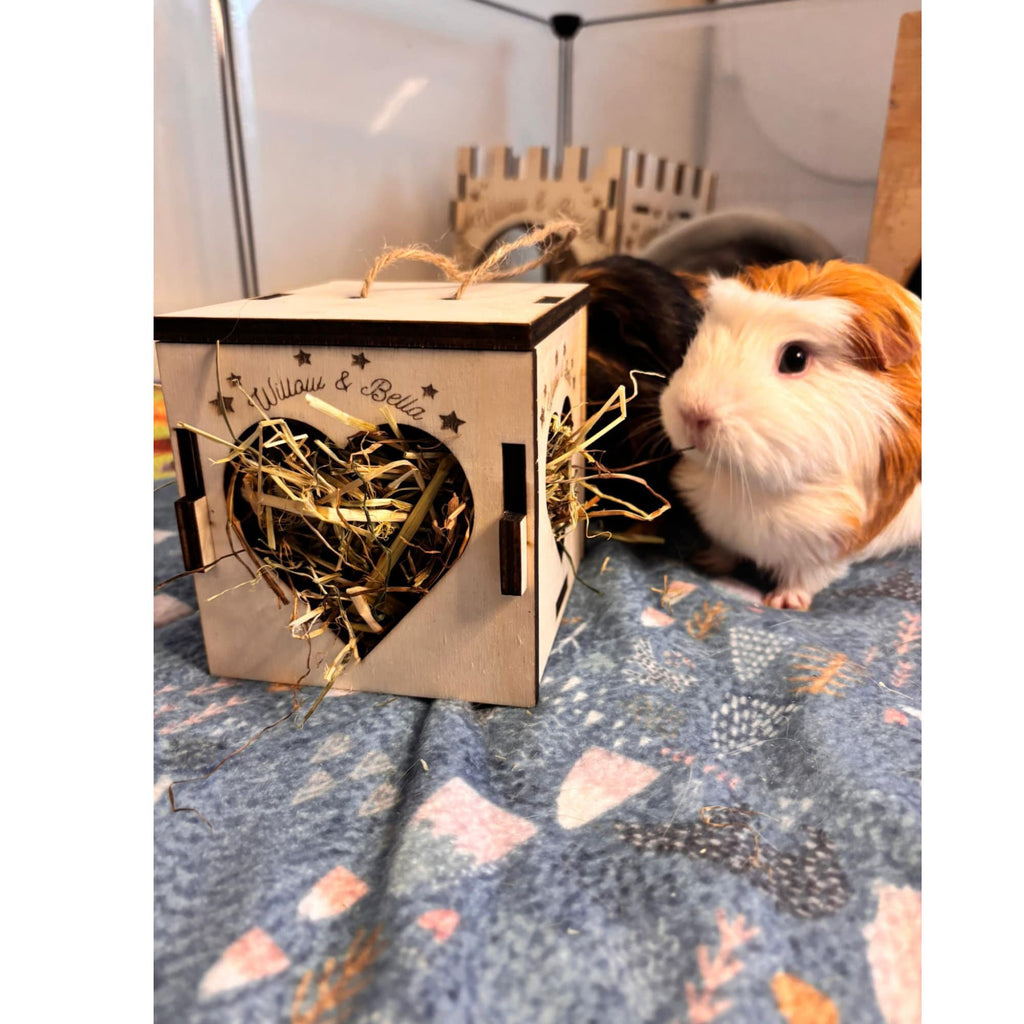 Cozy Hay Cube for Small Pets: Keep Your Guinea Pig or Hamster Happy and Healthy (READ dimensions in description before purchase)