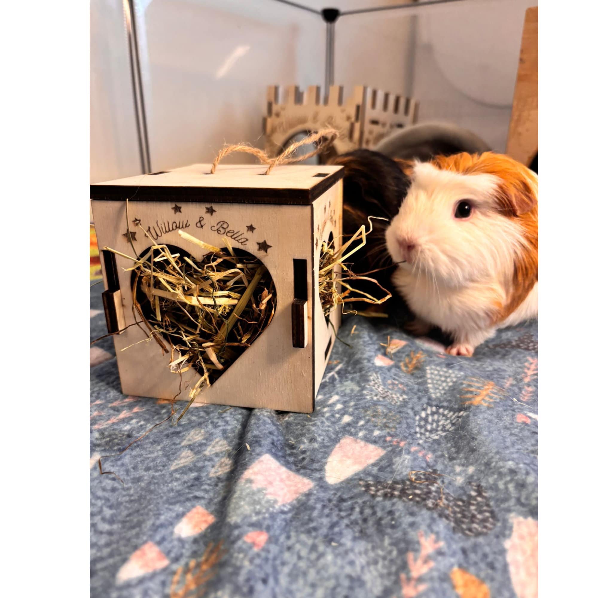Cozy Hay Cube for Small Pets: Keep Your Guinea Pig or Hamster Happy and Healthy (READ dimensions in description before purchase)