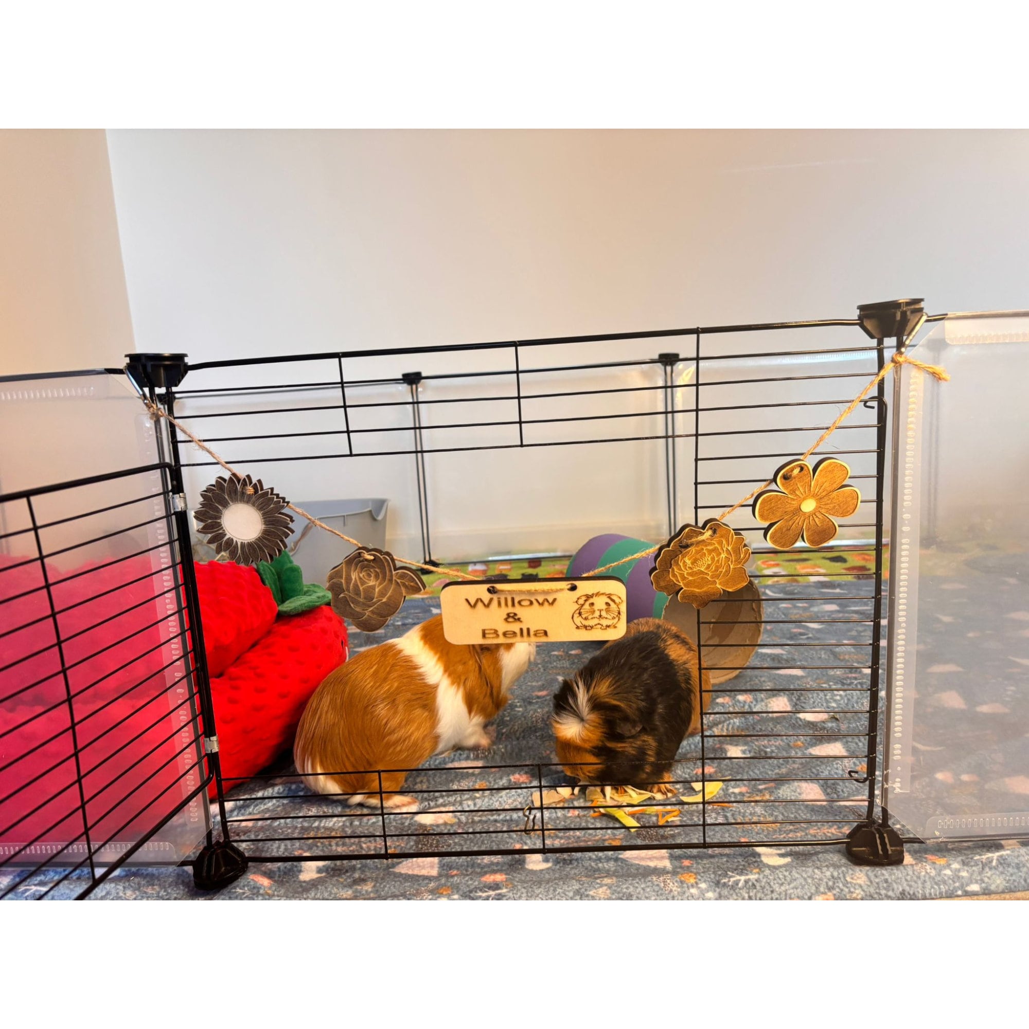 Personalized Guinea Pig and Rabbit Name sign & Cage Decoration - Formaldehyde Free Plywood | Custom