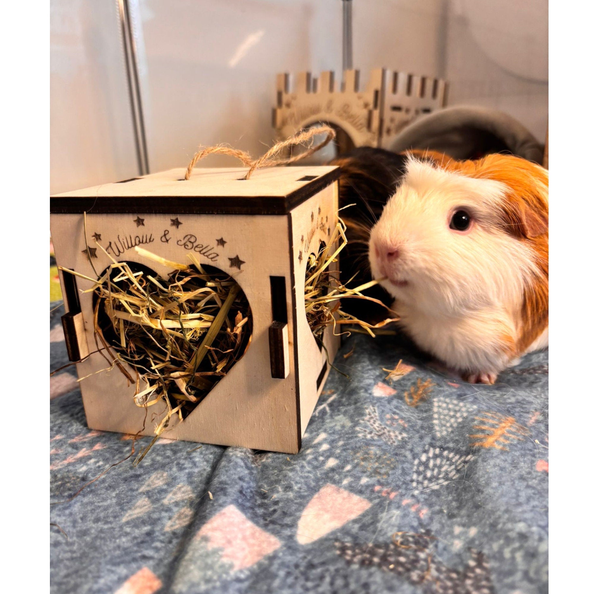 Cozy Hay Cube for Small Pets: Keep Your Guinea Pig or Hamster Happy and Healthy (READ dimensions in description before purchase)