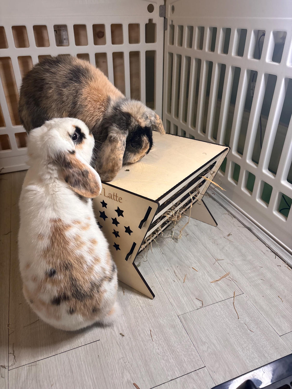 Rabbit Platform Hayfeeder Personalised with your rabbit's name