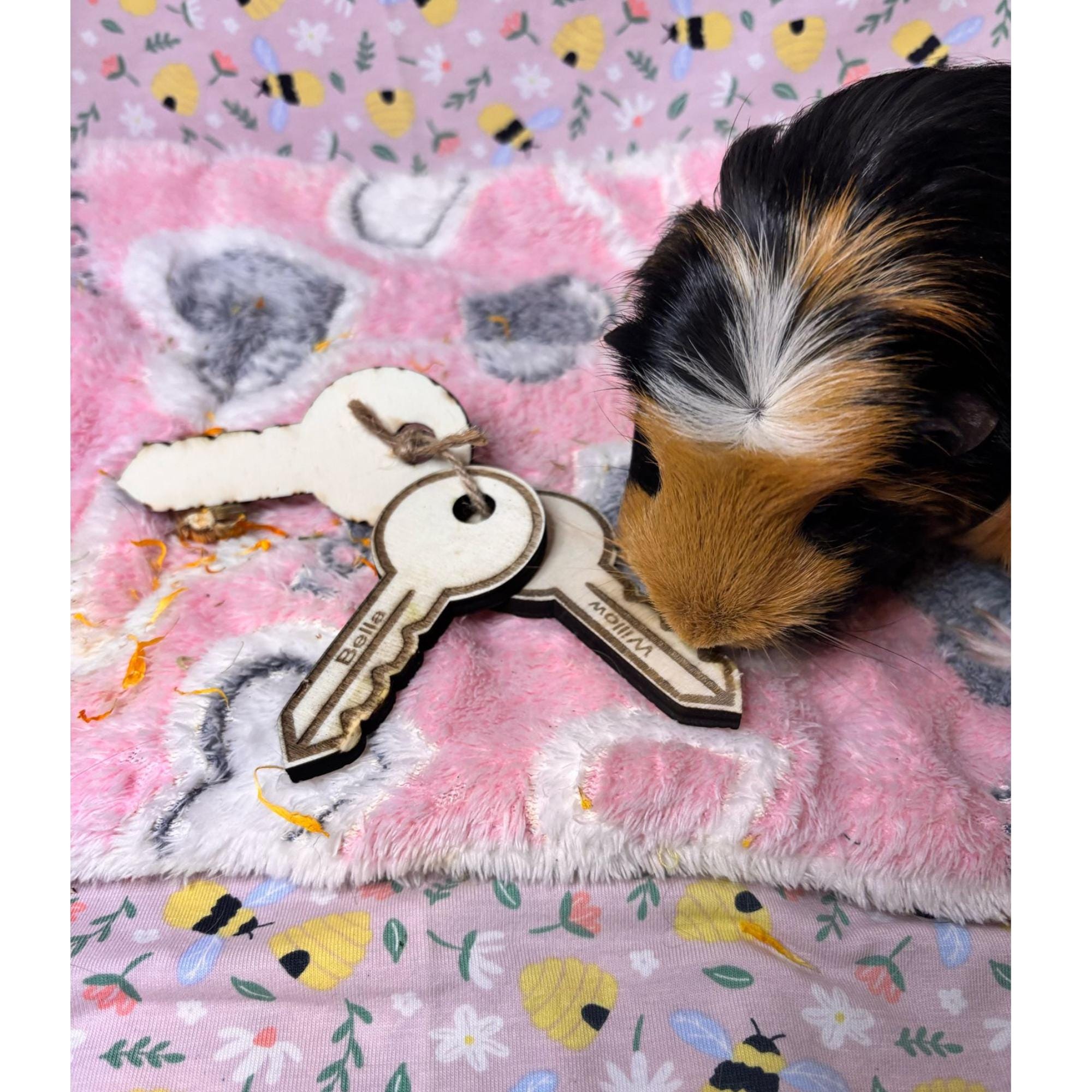 Wooden Keys & Chew Toy for Guinea Pigs, Rabbit, Hamsters with name marked on the chew toy – Natural Chewable Fun | Formaldehyde Free Plywood