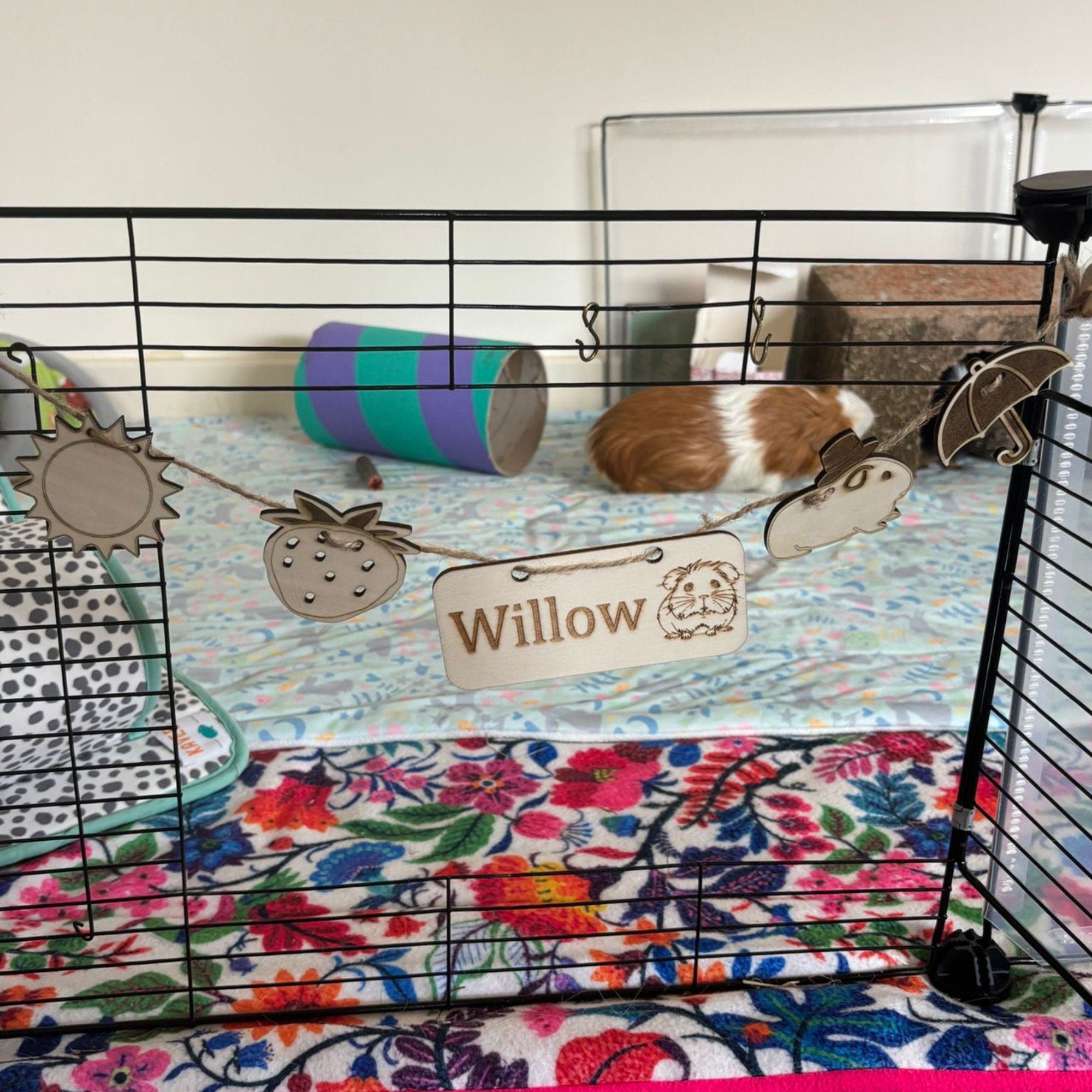 Pick and Choose Chew Toy Personalized Guinea Pig sign & Cage Decoration