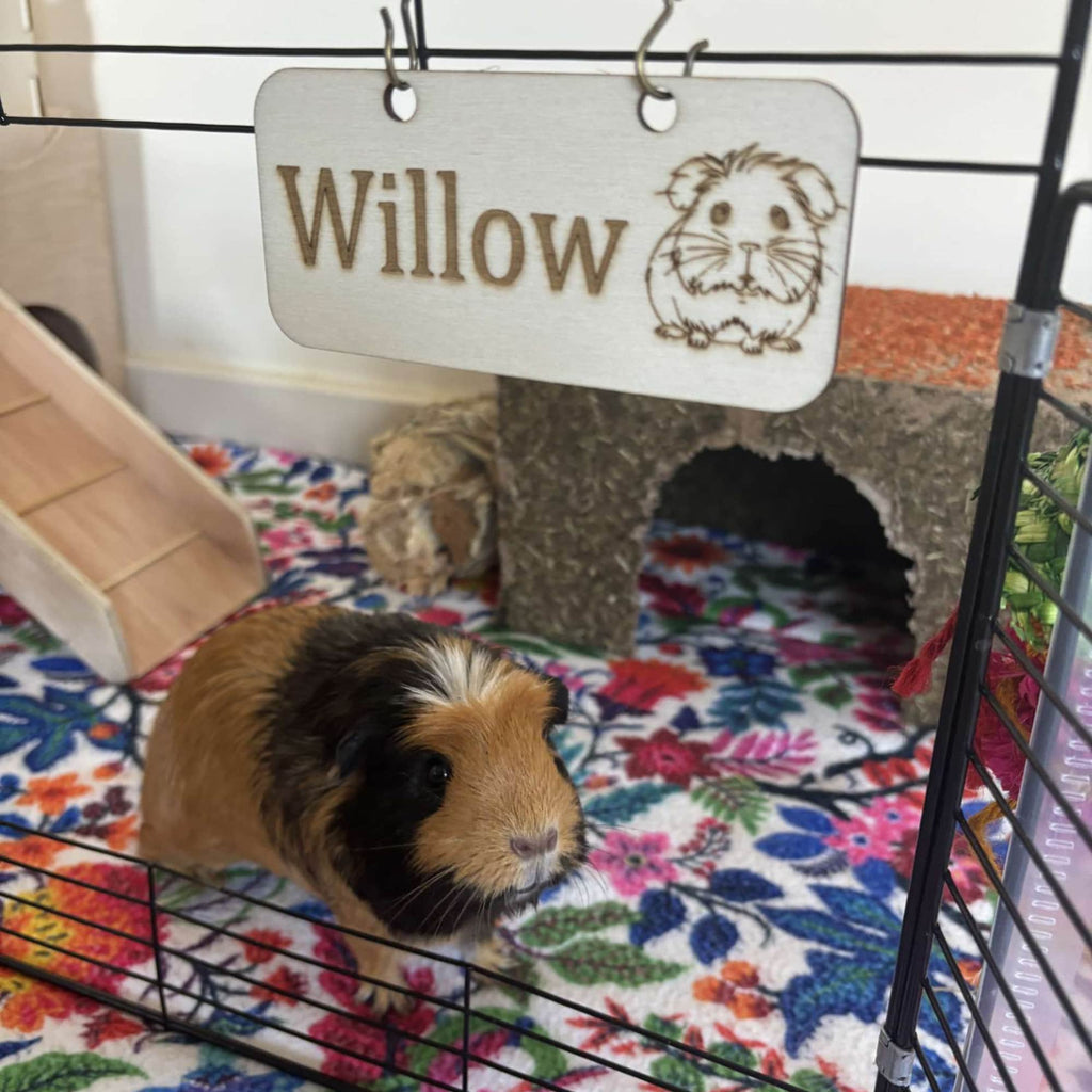 Personalised Guinea Pig Name Sign - Standard or Formaldehyde Free Plywood|Custom Using water-based paint and animal-friendly